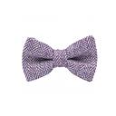 Jaggs - Bow tie Tweed "Dundee" - Chevron violet