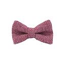 Jaggs - Bow tie Tweed "Dundee" - Chevron rose framboise