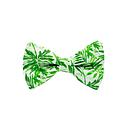 Jaggs - Nœud papillon Jungle Mood - Vert