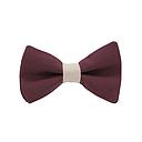 Jaggs - Bow tie "Dallas" - raspberry pink bow tie - Coral ring