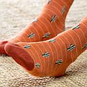 BillyBelt - Chaussettes coton - Cactus orange