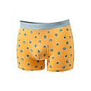 Billybelt - Boxer - Saguaro - L