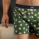 BillyBelt - Organic cotton boxer shorts - Irish - Size 2XL