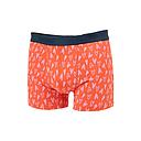 Billybelt - Boxer - Valentin - M