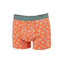 Billybelt - Boxer - Seahorse - XL