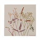Blooming Ville - Sirri Serviette